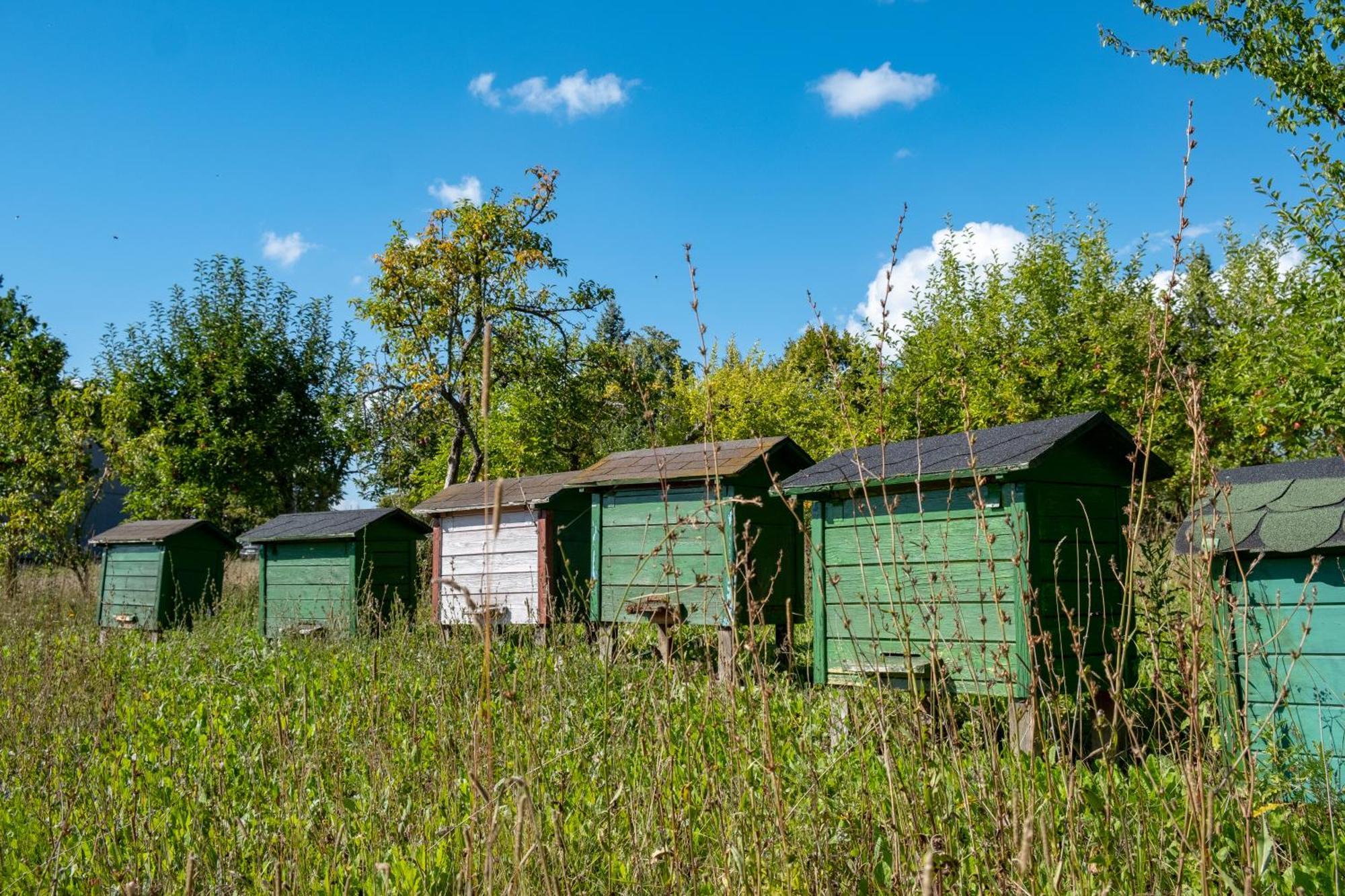 Siedlisko Leszczewek Exterior foto