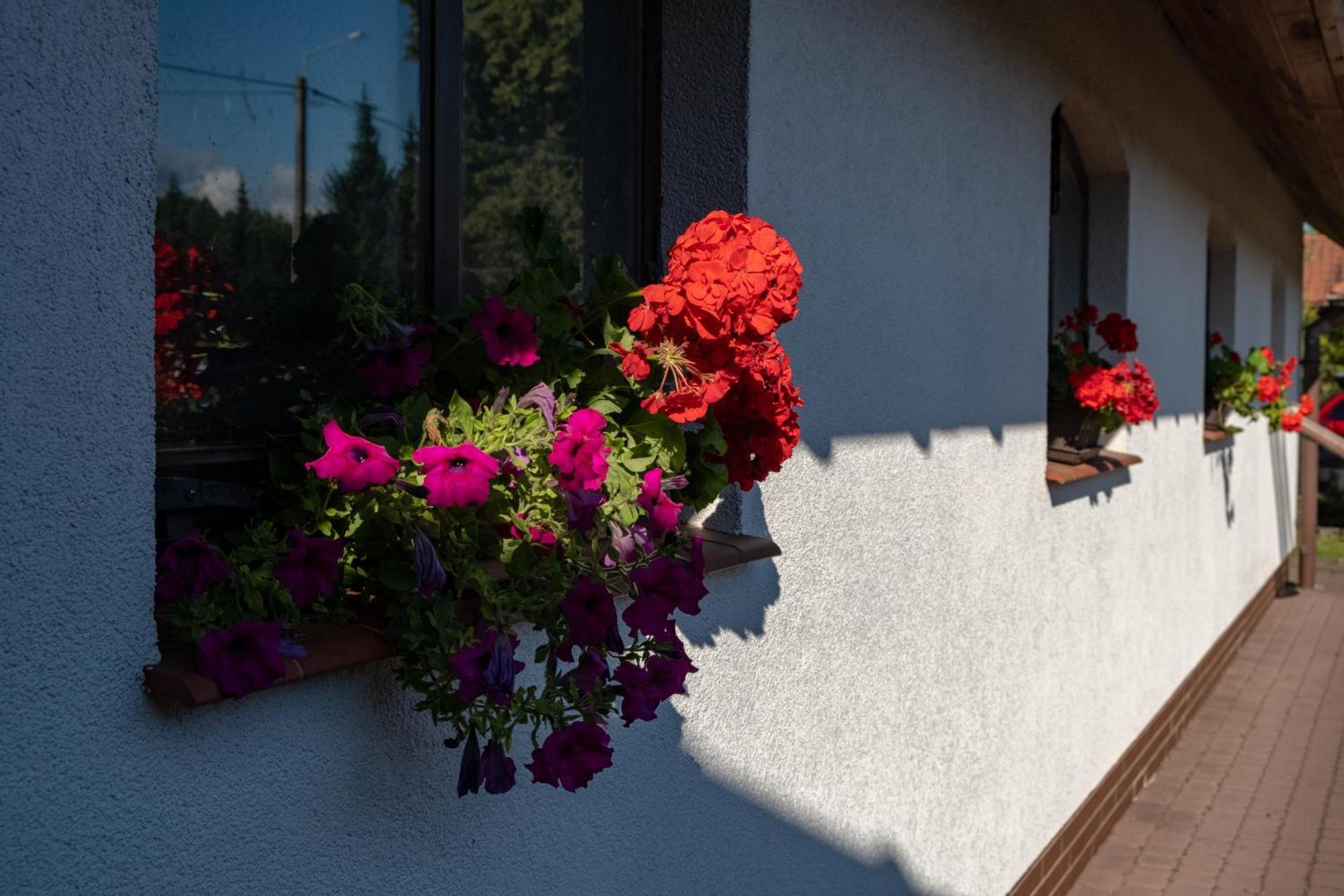 Siedlisko Leszczewek Exterior foto